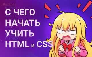 Что учить после html и css