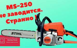 Почему не заводится stihl ms 250