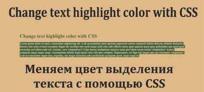 Как изменить цвет одного слова в css