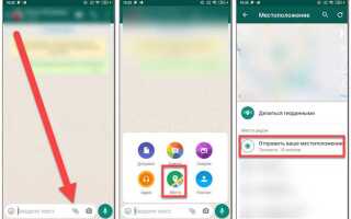 Как передать геолокацию по whatsapp на android