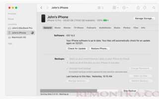 Куда сохраняются купленные рингтоны на iphone