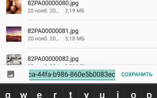 Как посмотреть dns на blackberry