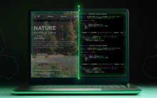 За сколько можно выучить node js