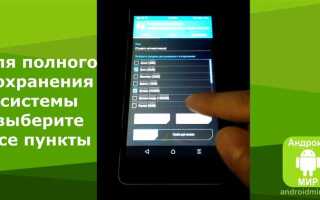 Как сделать backup whatsapp android