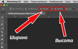 Как растянуть картинку css