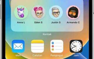 Как открыть ассистент настройки ios на айфоне
