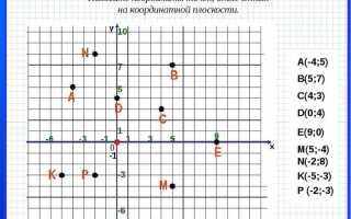 Как сделать систему координат в ворде