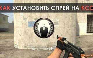 Куда кидать спрей для css v34