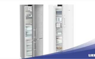Как узнать год выпуска холодильника beko