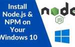 Как установить npm node js