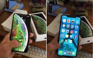 Сколько весит iphone xs max