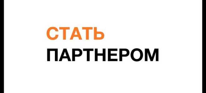 Как стать технологическим партнером яндекс маркет