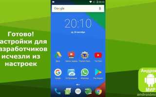 Как включить режим разработчика android