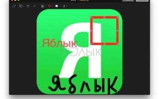 Как рисовать на mac