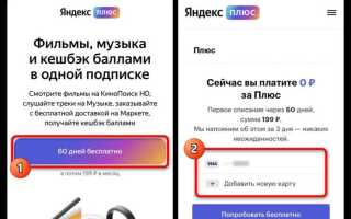 Сколько стоит подписка на яндекс музыку