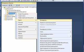 Как экспортировать базу данных sql server management studio