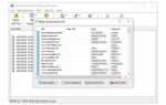 Где хранятся пароли internet explorer 11