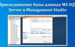 Как создать базу данных в sql server 2017