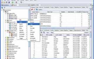 Как русифицировать меню sql developer oracle