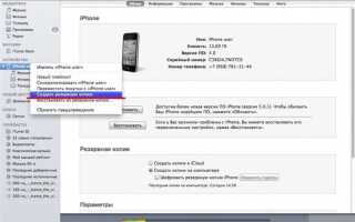 Как посмотреть когда создавалась резервная копия на iphone