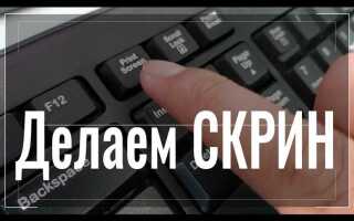 Как сделать скриншот на ноутбуке sony