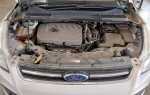Где номер двигателя ford kuga 1