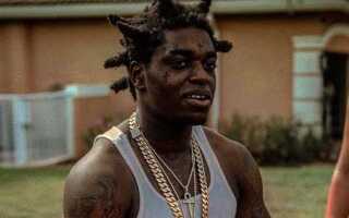 За что сидел kodak black