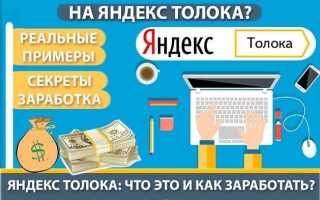 Что такое яндекс толока