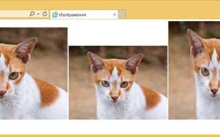 Как сделать картинку по размеру блока в css