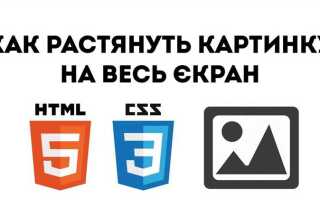 Как сделать чтобы изображение не растягивалось css