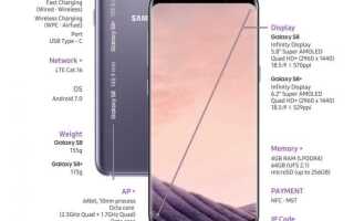 Сколько стоит samsung galaxy s8