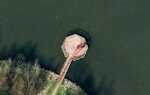 Где google earth хранит метки