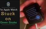 Почему горит зеленый индикатор на apple watch