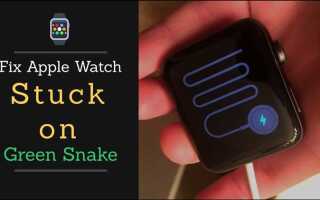 Почему горит зеленый индикатор на apple watch