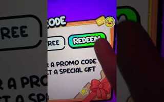 Куда ввести код clockmaker ios