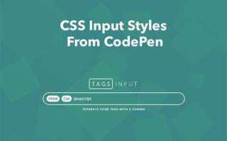 Как вставить иконку в input css
