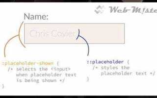 Как изменить цвет placeholder css
