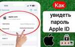 Как узнать пароль от своего apple id