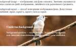 Как установить фон в css картинкой
