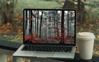 Как сделать пустое название папки windows 10