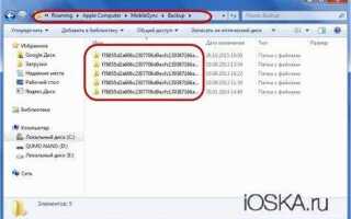 Где хранится резервная копия iphone на компьютере