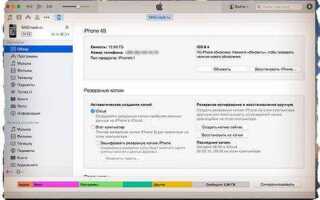 Как сделать резервную копию apple watch