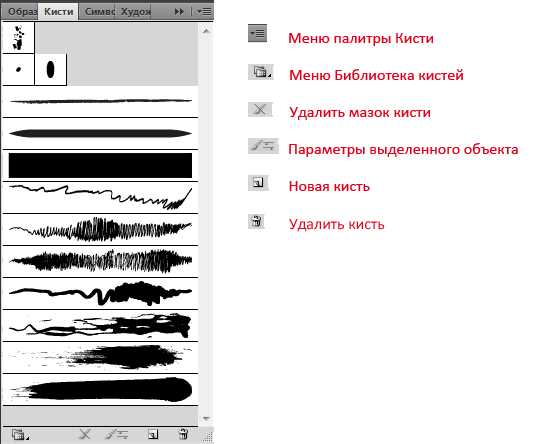 Рисование и редактирование формы для будущей кисти