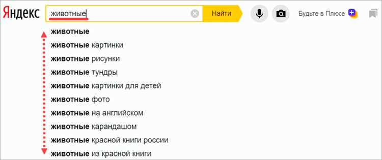 Как применить фильтры для сортировки изображений по типу и размеру