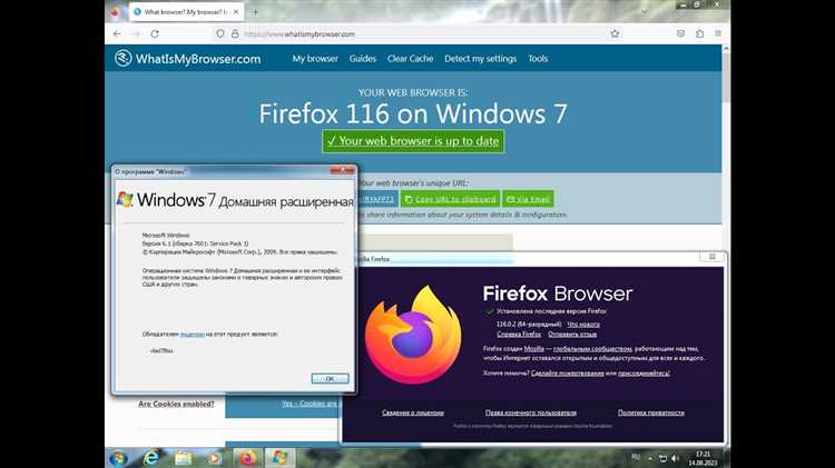 Как использовать старую версию Firefox с актуальными дополнениями