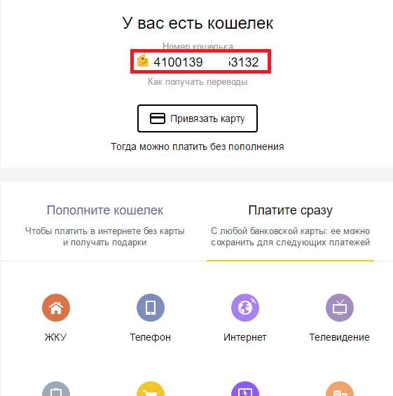 Как пользоваться виртуальной и пластиковой картой Яндекс Кошелька