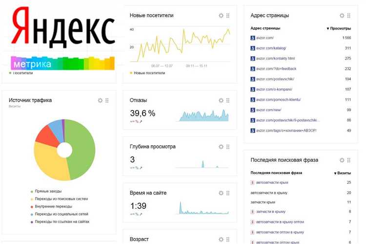 Что такое яндекс метрика