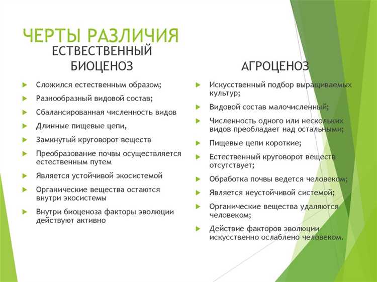 Яндекс.Маркет: Как выбрать и купить товары онлайн