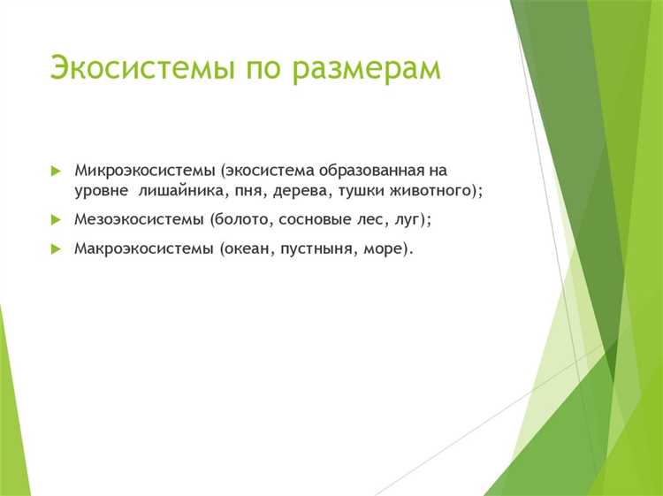 Яндекс.Диск: Организация облачного хранения данных