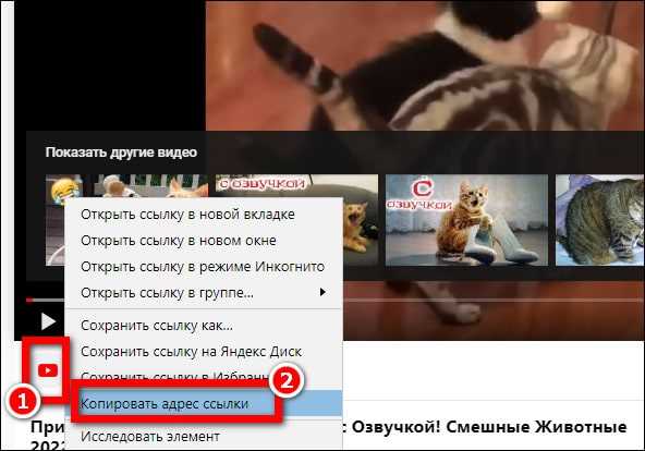 Отправка видео с компьютера на Яндекс Станцию через браузер и Wi-Fi